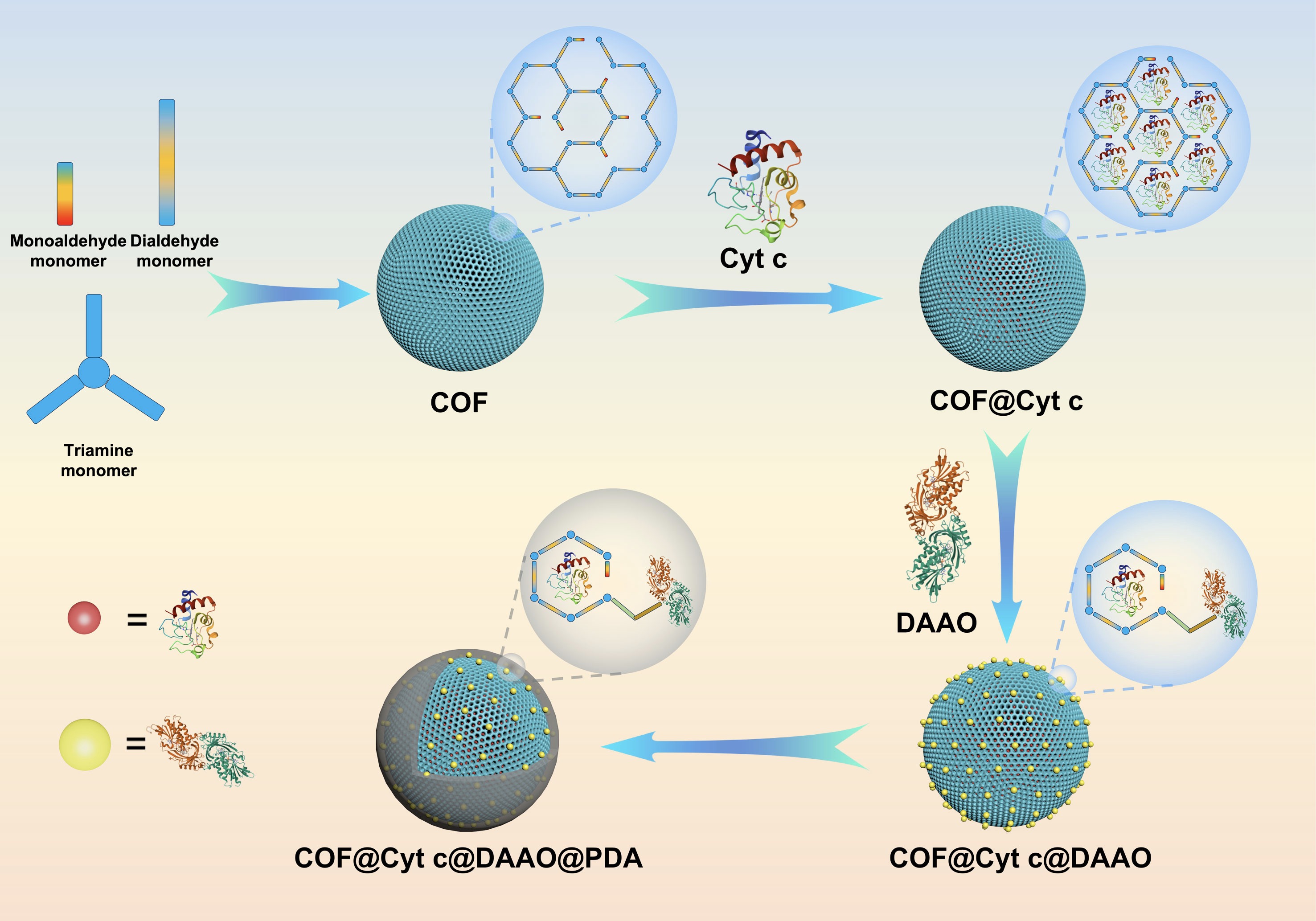 吕永琴生物与化学交叉研究实验室的最新成果《Designing a mesoporous cascade reactor for enhanced enzymatic performance》在 Bioresource Technology期刊正式在线发表！